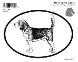 Beagle Dog Oval Decal