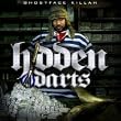 Hidden Darts 3 [Explicit]