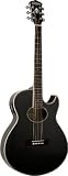Wahsburn Festival Series EA21B Acoustic Guitar