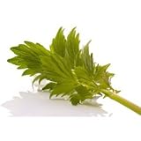 Lovage Seeds