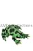 Search : Wildlife / Domestic Animals : Tropical Rainforest Green Poison Arrow Dart Frog 16" Plush Stuffed Animal Toy