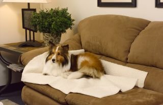 Childrens Toyshop  Pet Supplies : Midwest Sheepskin Pad (Cut to Fit), Non-Slip Rubber Backing fits 18 & 22"L Crates