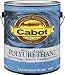 8080 QT GLOSS WATER-BORNE - CABOT - VALSPAR CORP