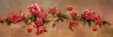 Festoon of Red Roses: Debra Lake. 36.00 inches by 12.00 inches. Art Print Poster