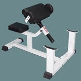 Seated Arm Curl Unit