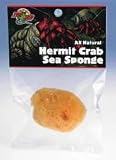 Zoo Med Laboratories Hermit Crab Sponge - HS-10