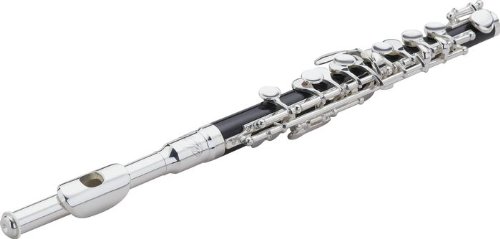 Allora Student Series Piccolo Model AAPI-996