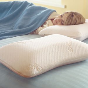 SYMPHONY PILLOW QUEEN 29 x 17 x 5.5 in
