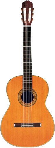 Childrens Toyshop  Musical Instruments : Takamine H5 Hirade Concert Classical Nylon String Acoustic Guitar