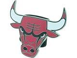 Chicago Bulls Logo Trailer Hitch Cover