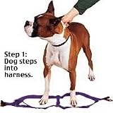 Two Step Harness Small 3/8 up to 15 chest Blue