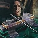 Professor Snape's Wand