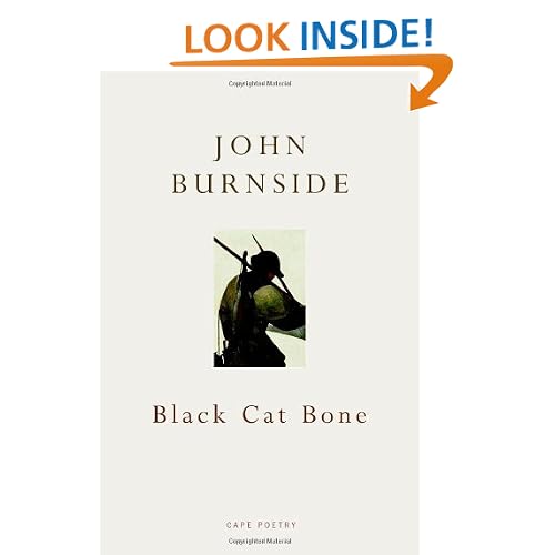 Black Cat Bone