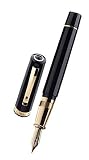 Omas Arte Italiana Paragon Black Resin Gold Trim Fountain Pen