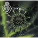 Cosmic Genesis
