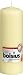 Bolsius Outdoor/Indoor Pillar Candle 250x80mm – Ivory