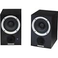 TEAC TASCAM ���^�A���v�����X�s�[�J�[(�y�A) VL-M3