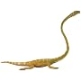 Tanystropheus