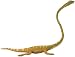 Tanystropheus (The Carnegie Collection)