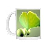 Ginkgo leaf and berries Photo Mugs