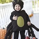 Pottery Barn Kids SPIDER costume