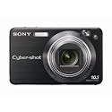 Sony Cybershot DSCW170/B 10.1MP Digital Camera with 5x Optical Zoom with Super Steady Shot (Black)