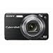 Sony Cybershot DSCW170 B 10.1MP Digital Camera with 5x Optical Zoom with Super Steady Shot (Black)