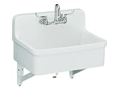KOHLER K-12787-0 Gilford Scrub-Up Plaster Sink, White