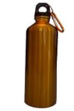 Stainless Steel Reusable Water Bottle w/ Hiking Clip, GOLD 20 oz.