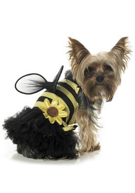 2Pc Sun Flower Bee Cute Dog Holiday Pet Costume (Black/Yellow-Small)
