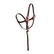 Figure 8 Leather Foal Halter
