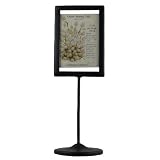America Retold 4-Inch-by-6-Inch Iron Pedestal Picture Frame, Matte Black by 