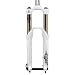 31eUnjsxr2L. SL75  Suspension Fork