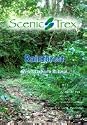 Scenic Trex Rainforest DVD