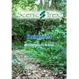 Scenic Trex Rainforest DVD - Walking, Cycling, Treadmill,... by 