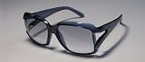 Banana Republic GISELLE SunGlasses Color FJPOM