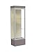 Waddell Edge Series Floor Display Case Frame Color: Satin, Base Color: Morro Zephyr, Case Backing: Silk