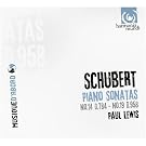 Schubert - Sonatas Nos. 19 and 14 (Paul Lewis)
