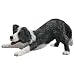 Sandicast Small Size Border Collie Figurine