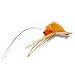 Peterson Spawning Shrimp