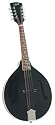 Rover RM-35BS Festival Series A model Mandolin with Solid Spruce Top and Black Finish