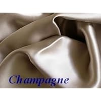 Champagne 100% Mulberry Silk Pillowcase Queen/standard for Hair and Facial Beauty