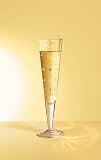 Champagne Glass, Champus, Crest, Designer Gold and Silver Champagne Flute w/ Napkin in Gift Box