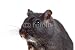 Wallmonkeys Peel and Stick Wall Decals - Cute Little Gerbil - Removable Graphic