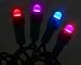 30 Color Changing Mini 5mm Red Blue Morphing LED Christmas Lights - Green Wire