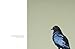 I Have Heard My Praises Sung In Screams: The Paintings of the Mincing Mockingbird Volume II