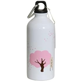 Green Bottle Stainless Steel Water Bottle with Sport Top and Screw Top