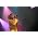 Thumbnail image of Jimmy Cliff