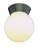 Trans Globe Lighting 4850 BK 7-Inch 1-Light Outdoor Flushmount, Black