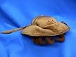 Horsehoe Crab Plush Toy